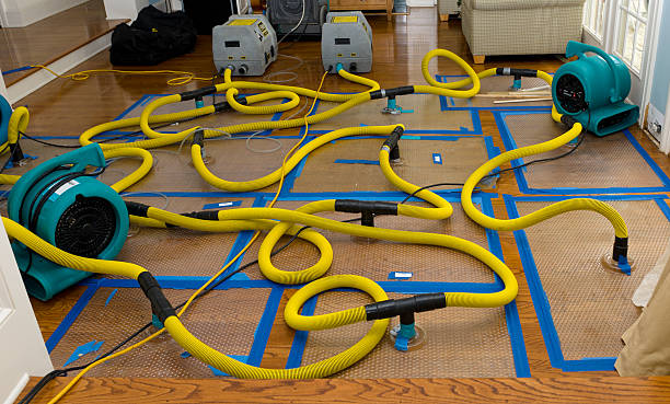 Professional Sewage Cleanup technician working in Caseville, MI